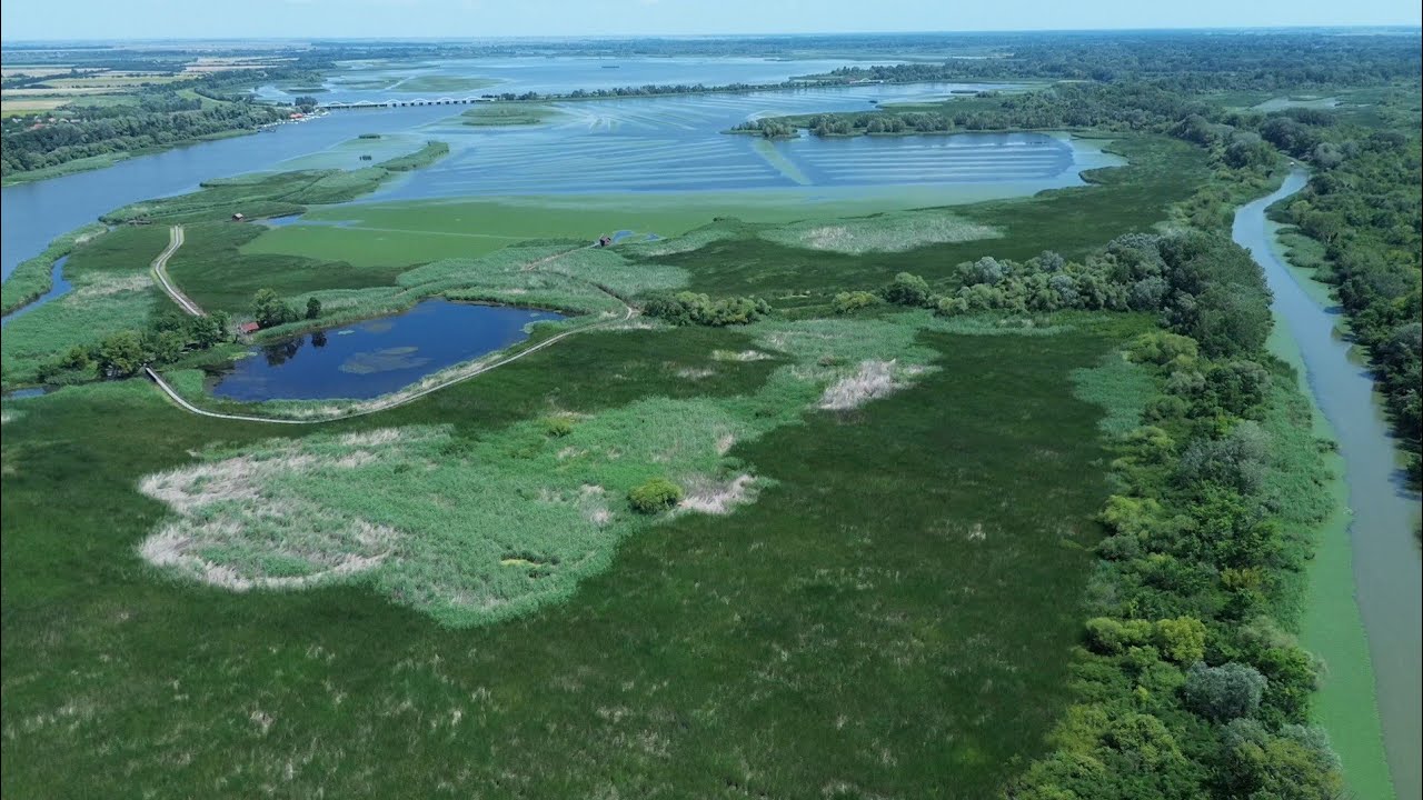 Tisza-tó -Poroszló -Drón Felvétel 4K #hungary #dji #nature #4k #drone