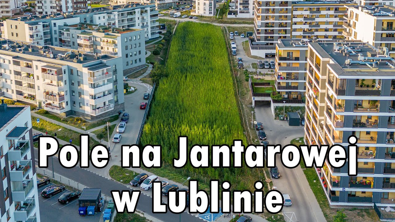 Pole przy ulicy Jantarowej w Lublinie | z lotu ptaka