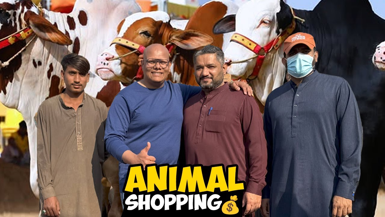 Mandi Se Heavy Shopping 🛍️ – Lakho Ke Bail Kharid Liye🐂💰 | BT Farm Stories