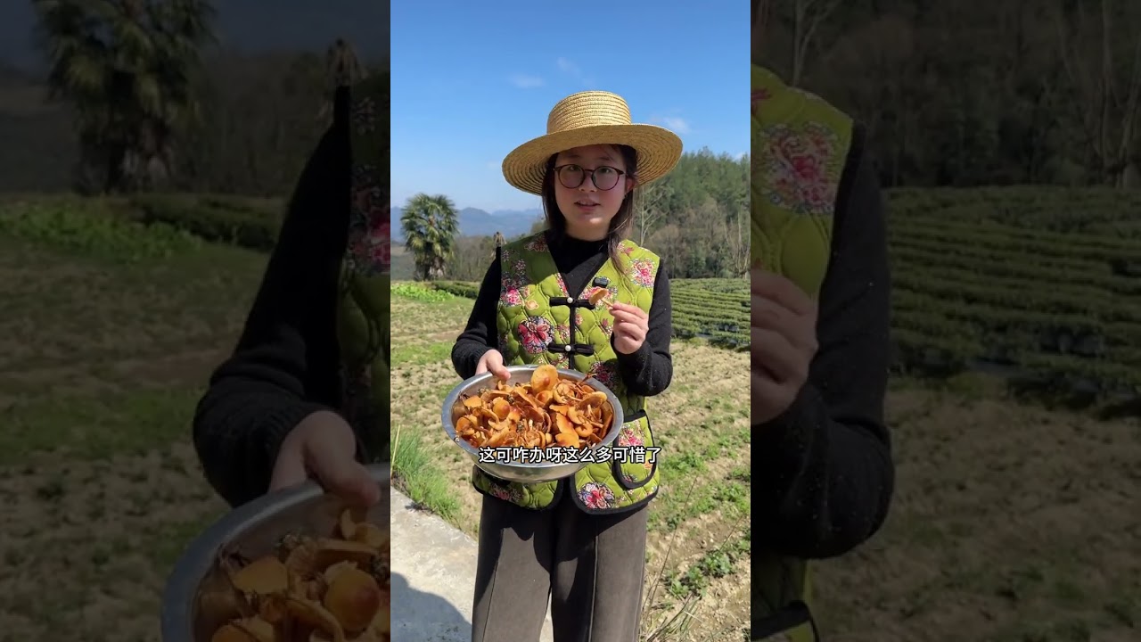 Title: Early Tea Harvest: Join Us in the High Mountains Adventure