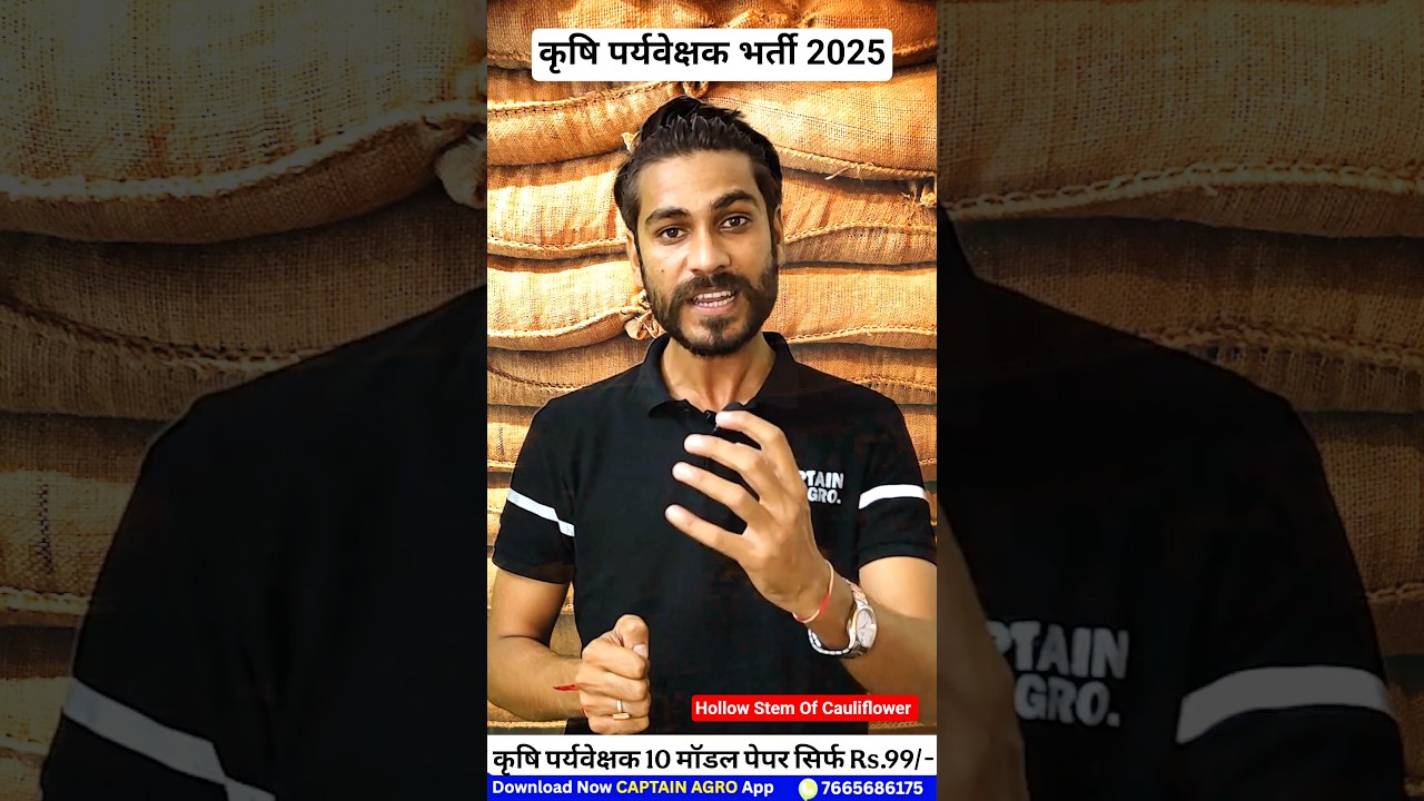 Agriculture Supervisor 2025 | Hollow stem of cauliflower | #shorts #agriculture