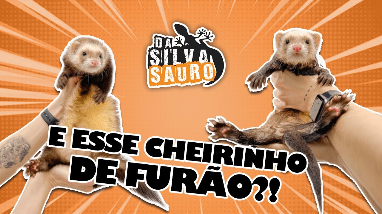 O QUE É ESSE CHEIRINHO DE FURÃO?