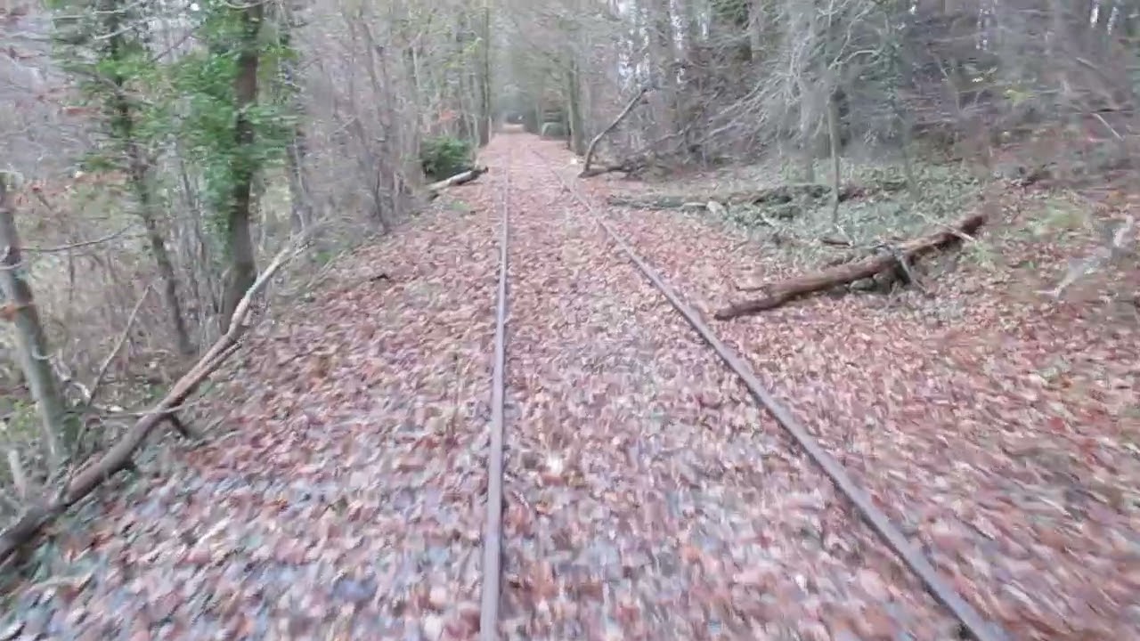 Fahrt mit dem schwedischen Schienenfahrrad