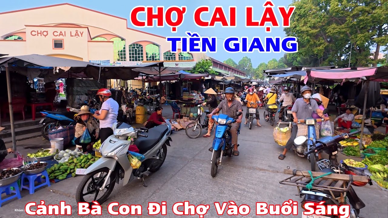 Khám Phá Chợ Cai Lậy Tiền Giang Và Đường Tỉnh 868 Chợ Kinh 12 Về Xã Mỹ Hạnh Trung