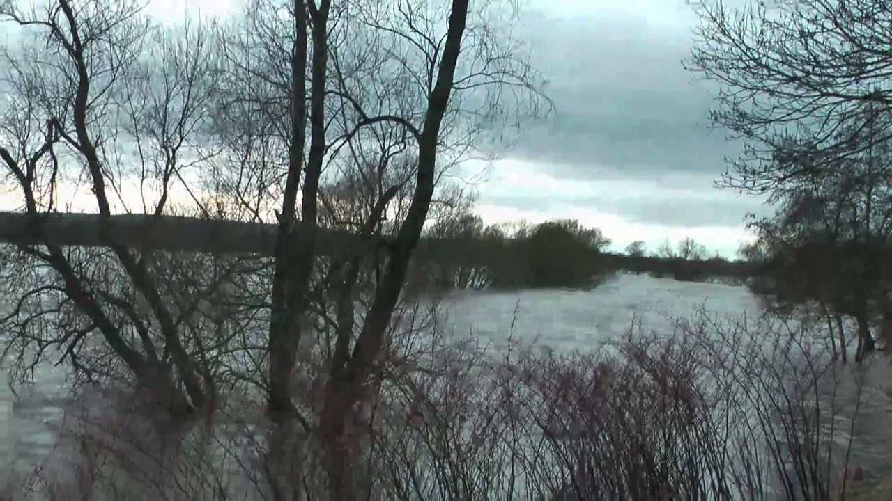Hochwasser an der Sieg am 14.11.2010