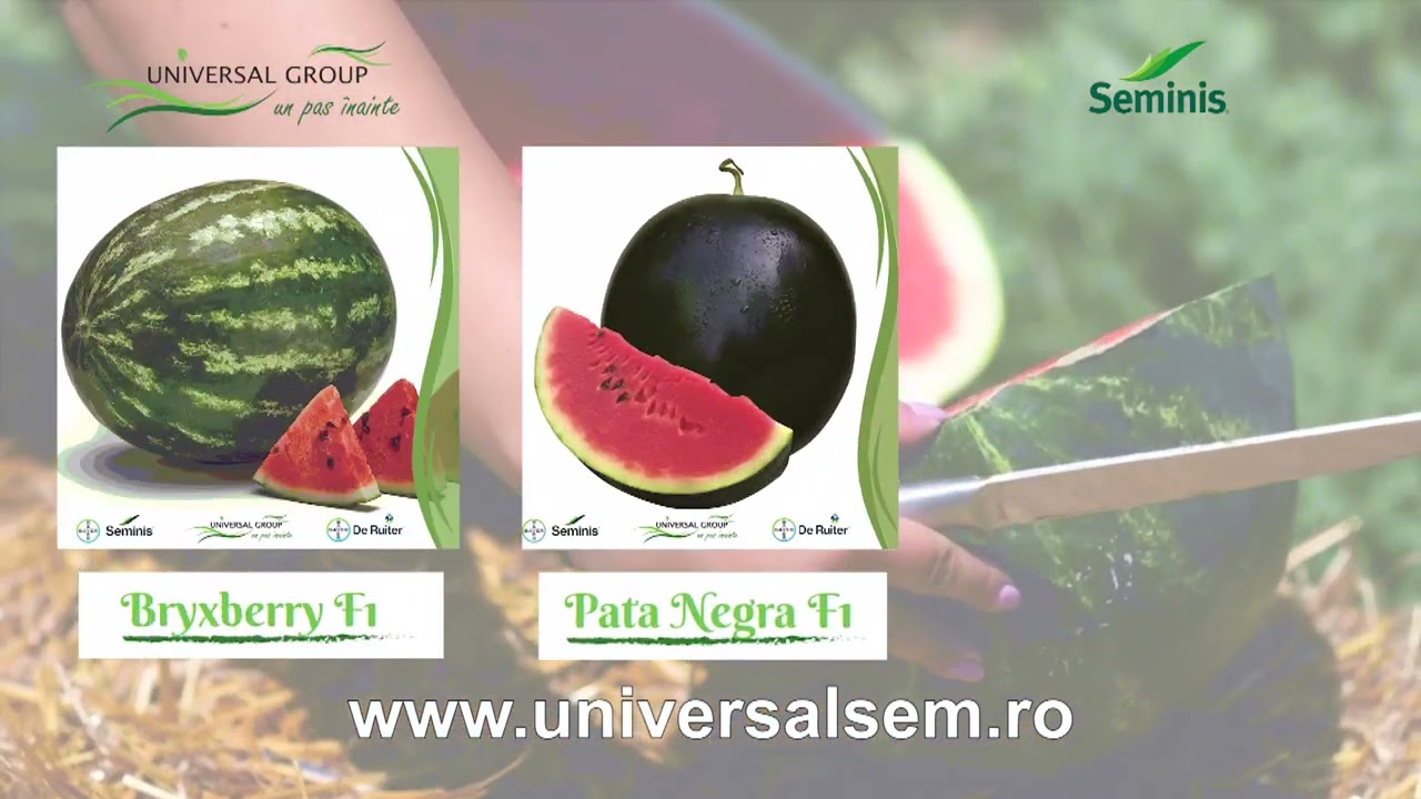 Agricultura la Raport Ovidiu Ghinea P2 02 03 2026 2334