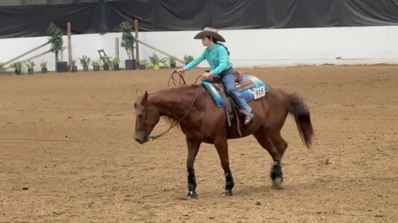 Green Reiner run with remy aka three dunits down