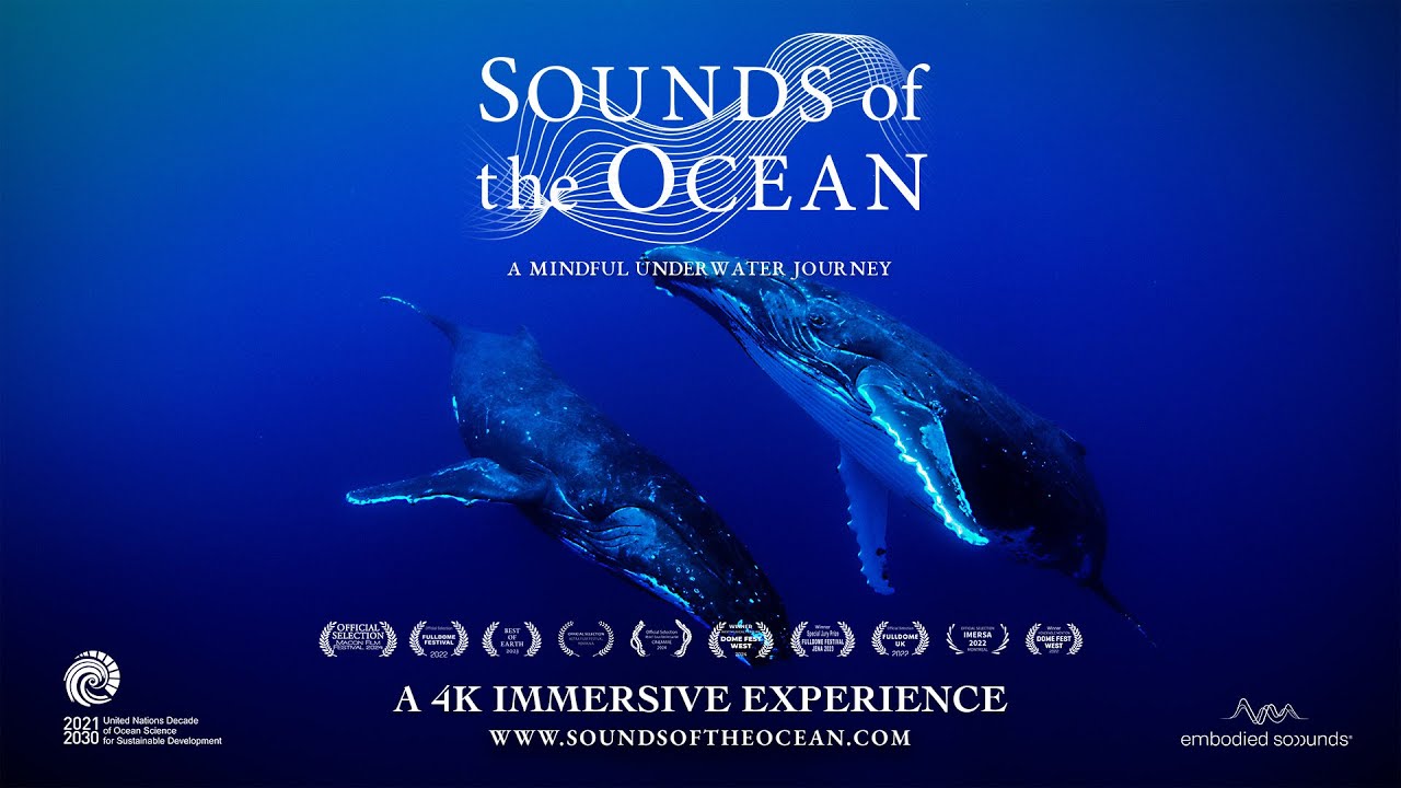 Sounds of the Ocean - Film Trailer