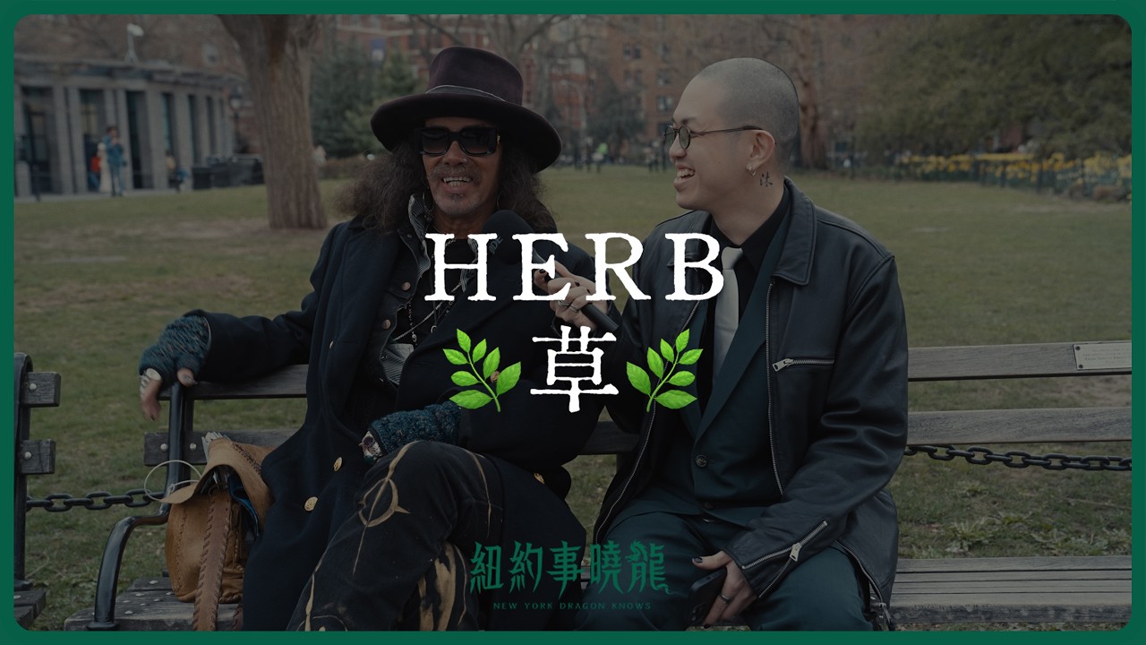 紐約人怎麼看 🌿「合法化」？｜個人經驗、人生選擇、開始與停止的真實故事 —《紐約街訪 EP02》