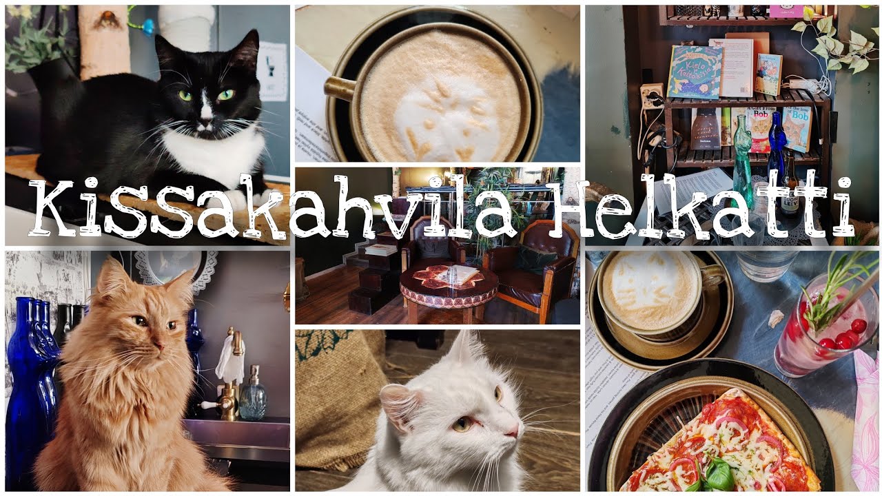 Kissakahvila Helkatti Helsinki
