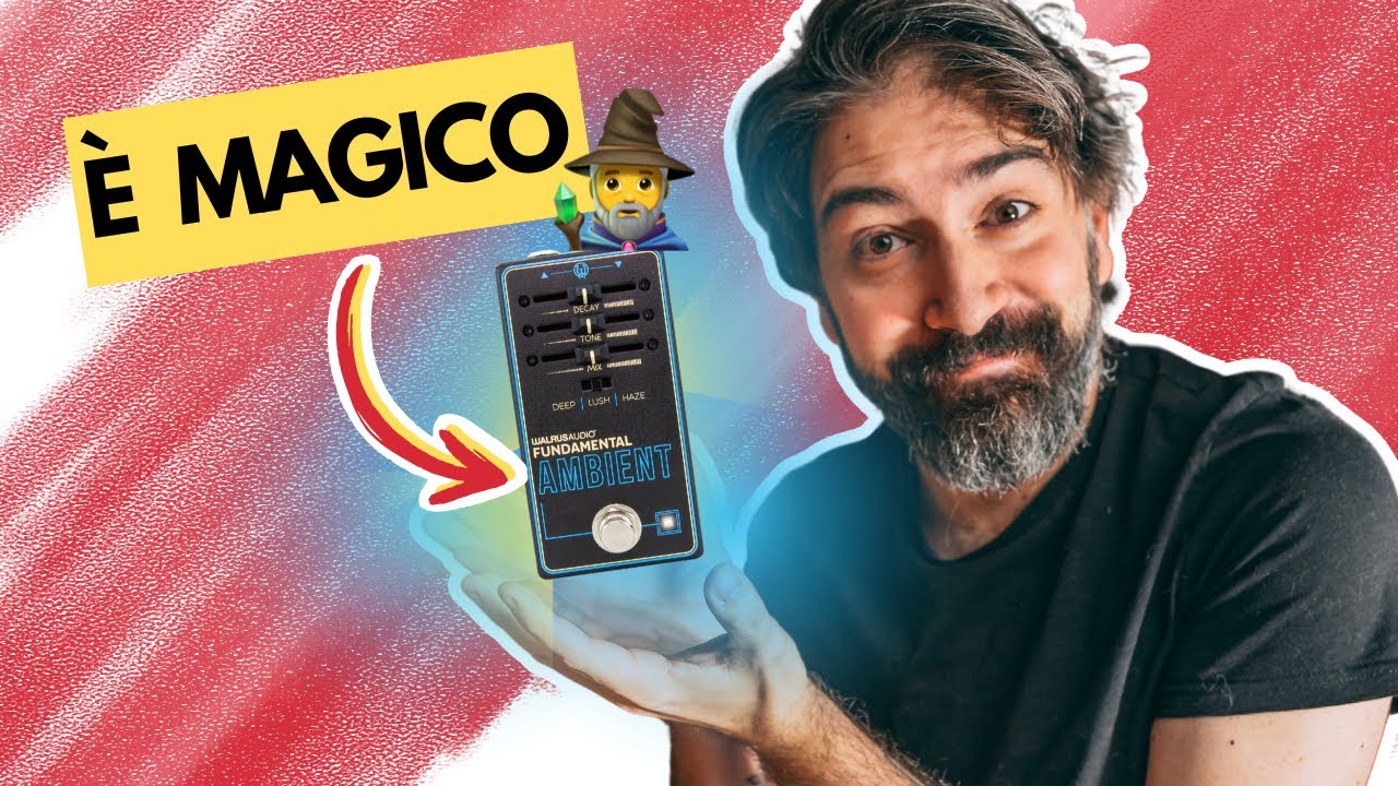 *SUONI MAGICI* CON LA CHITARRA. Questi riverbero SEMBRA UN SYNTH? | Walrus Fundamental Ambient