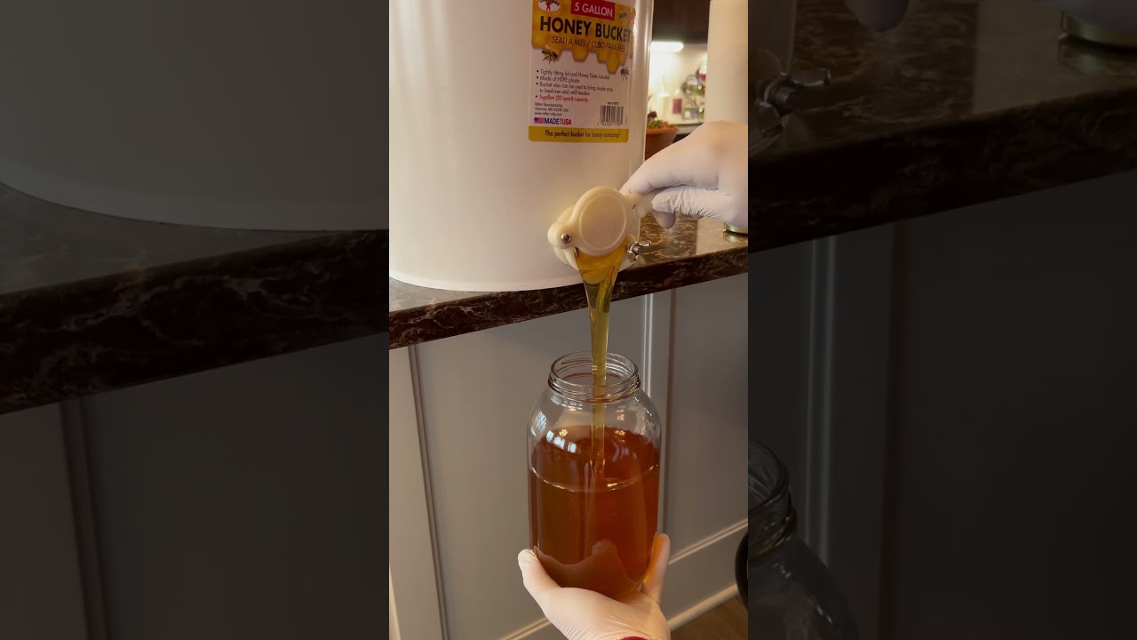 Honey Bottling #shortvideo #imlearning #beekeeping #lifeinthewoods #honey #buylocal