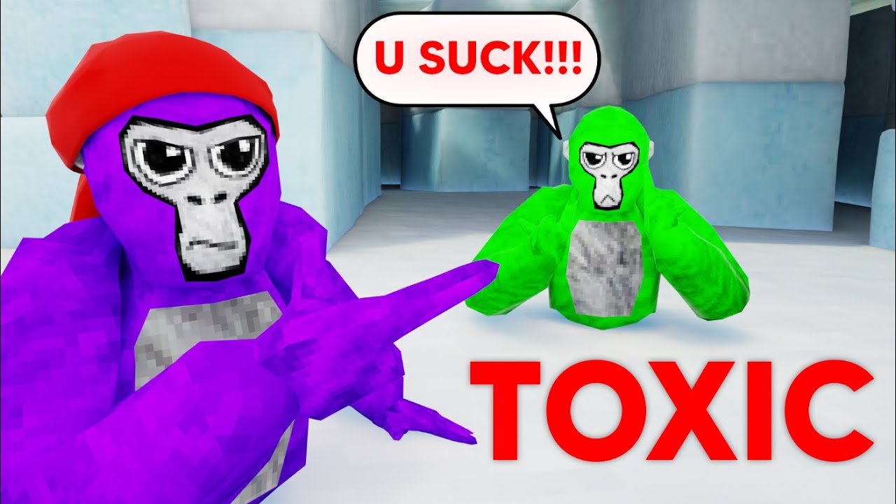 I 1v1'd The Most TOXIC Player In Gorilla Tag...