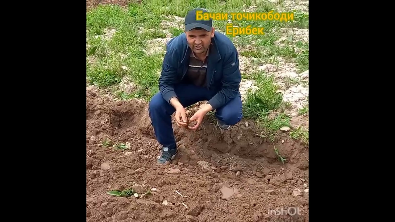 вакти кишти бахор дар дехаи мо навабод  подписаться ✍️ кади боз видёра дасшири кне