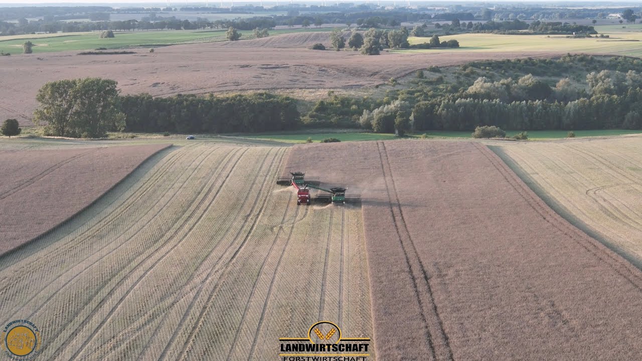28m auf einmal Wir fangen an die 450ha Raps zu Dreschen 2X John Deere X9 1100 Mähdrescher 