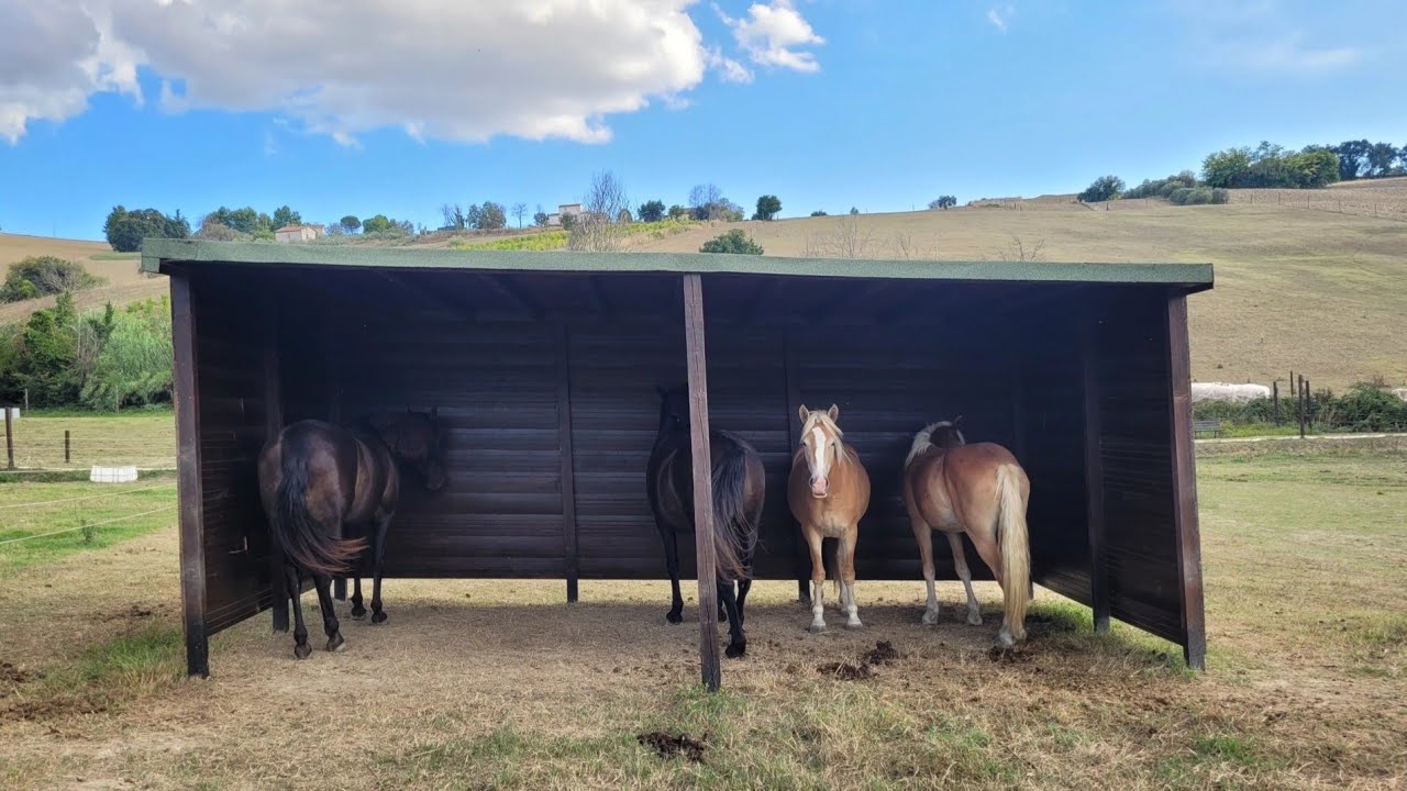 Amirian Ranch Macerata – Lavori in corso al Ranch