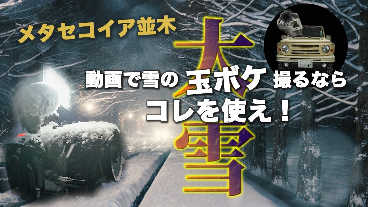 警報級大雪！夜明け前からメタセコイア並木はエグすぎ〜 SONYのカメラも頑張った！