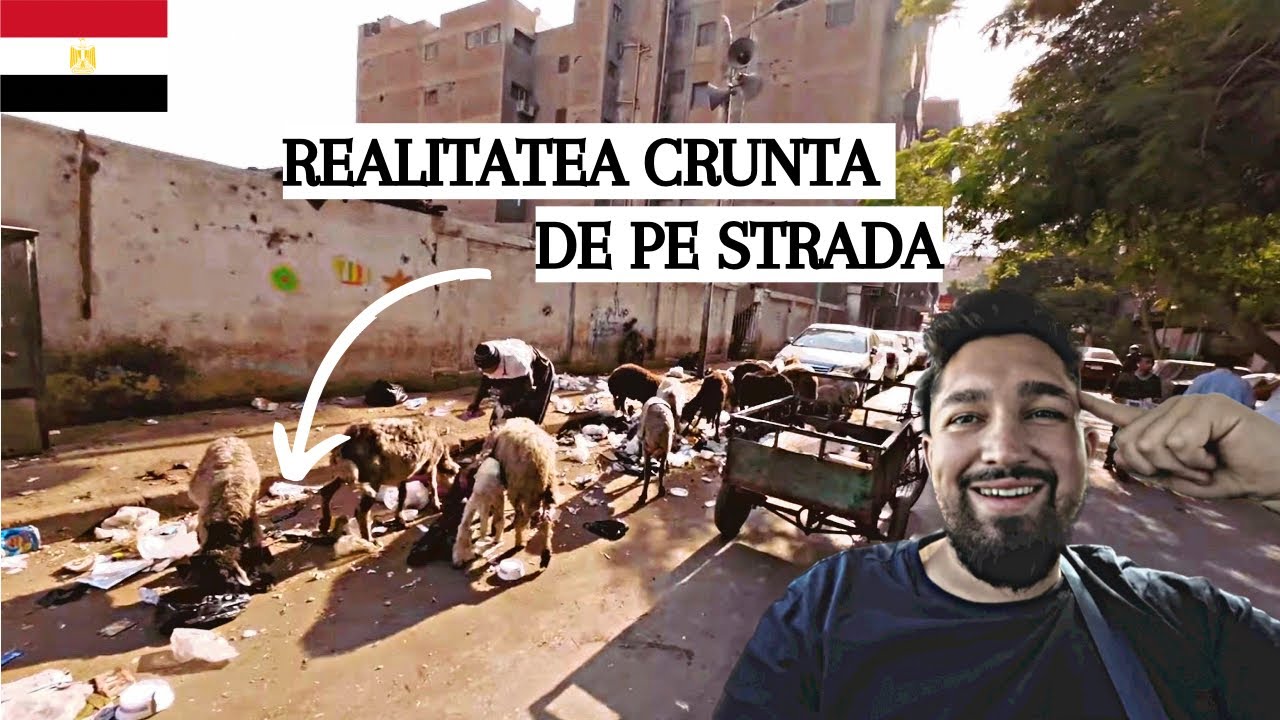 CE AM GASIT IN EGIPT TE VA ÎNGROZI ! 🇪🇬