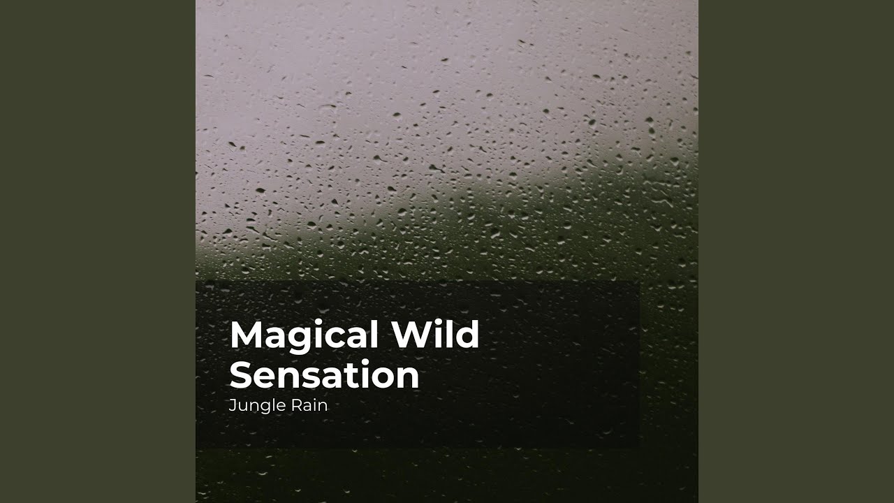 Rain in the Muddy Jungle