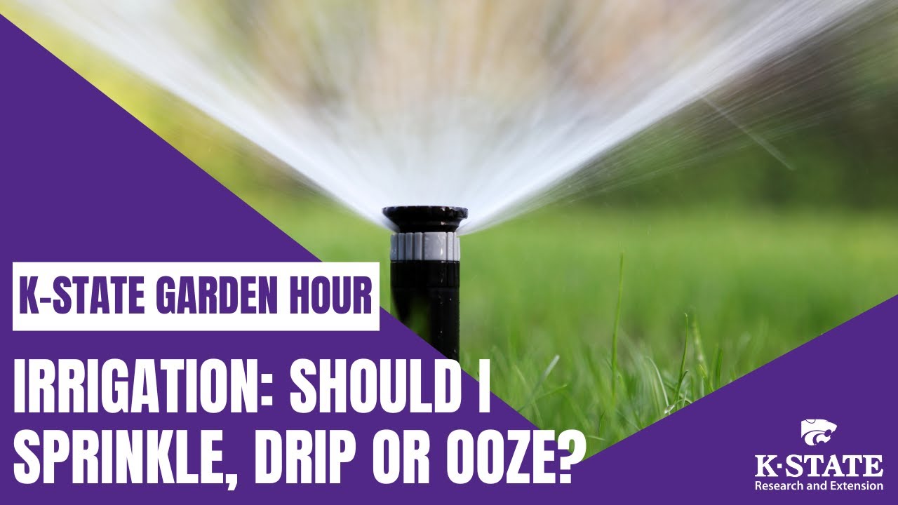 K-State Garden Hour: Irrigation - Should I Sprinkle, Drip or Ooze?