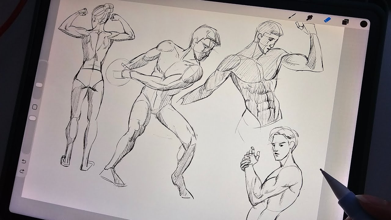Chill drawing session  🎨  Procreate ☁️ Ipad drawing sound ☁️