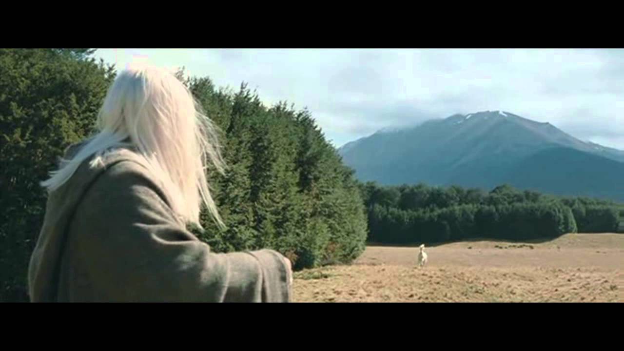 Lord of the rings - Shadowfax