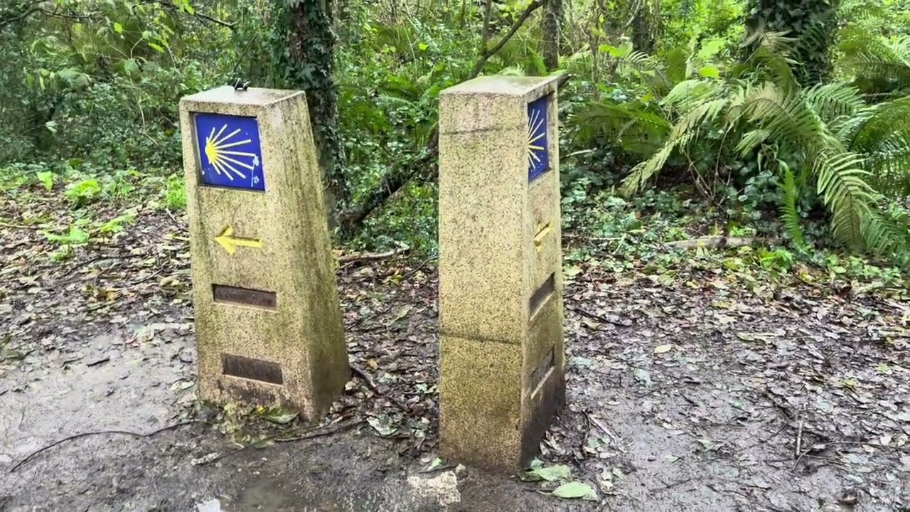 Day 39 - Camino Frances - Arzua to Amenal