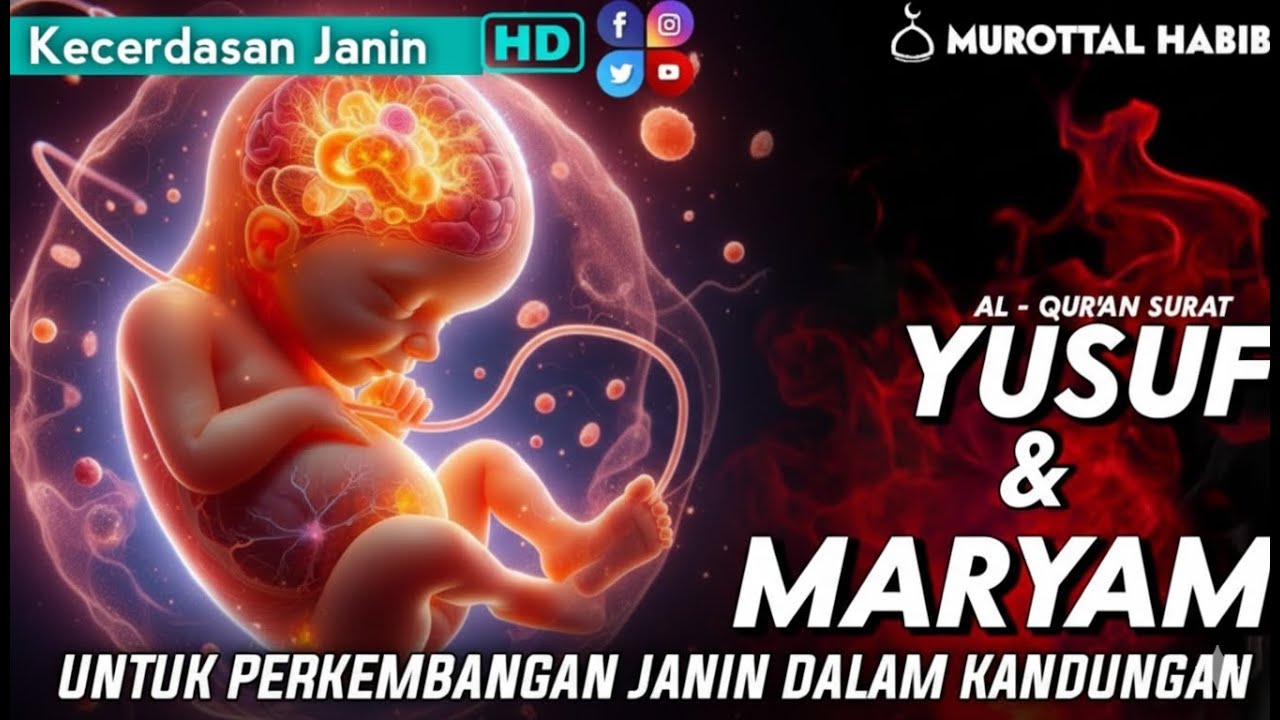 Murottal untuk Ibu Hamil: Surah Yusuf & Maryam 🌸 Menenangkan Janin & Mempercepat Persalinan