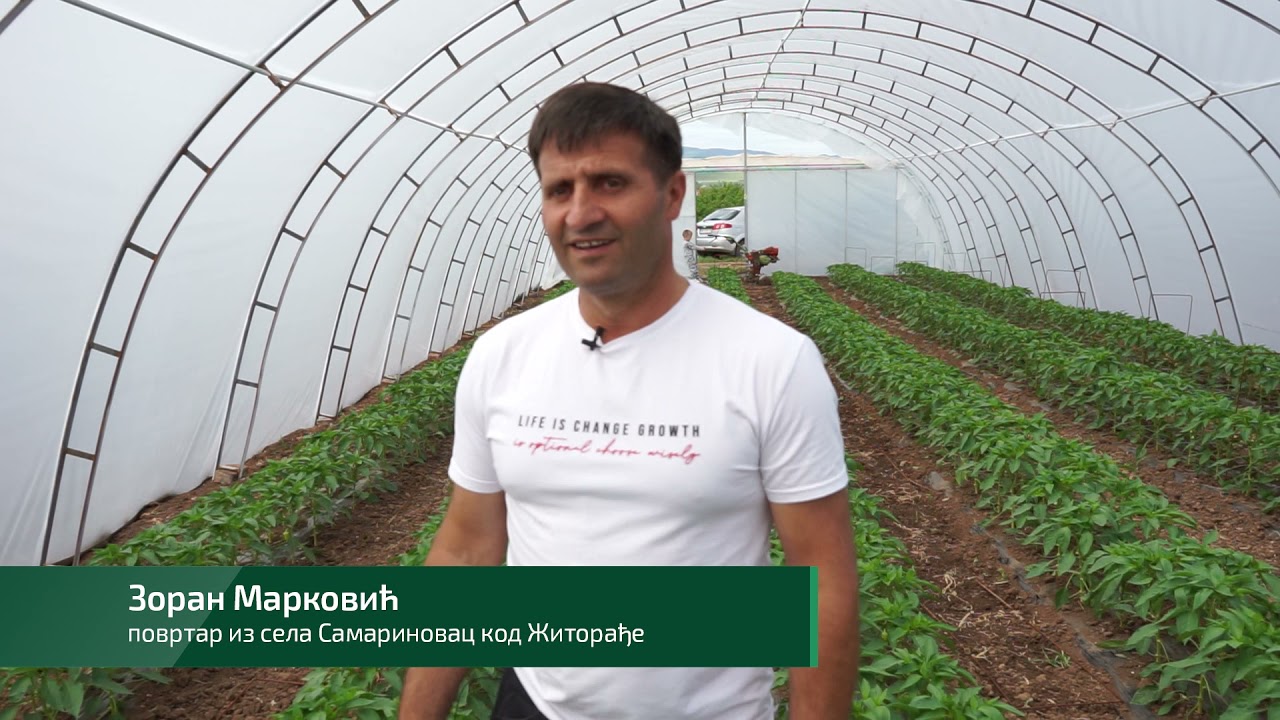 Složno, uspešno ep. 65 15.06.2021. Povrtarstvo, Samarinovac, gazdinstvo Marković, paprike, lubenice