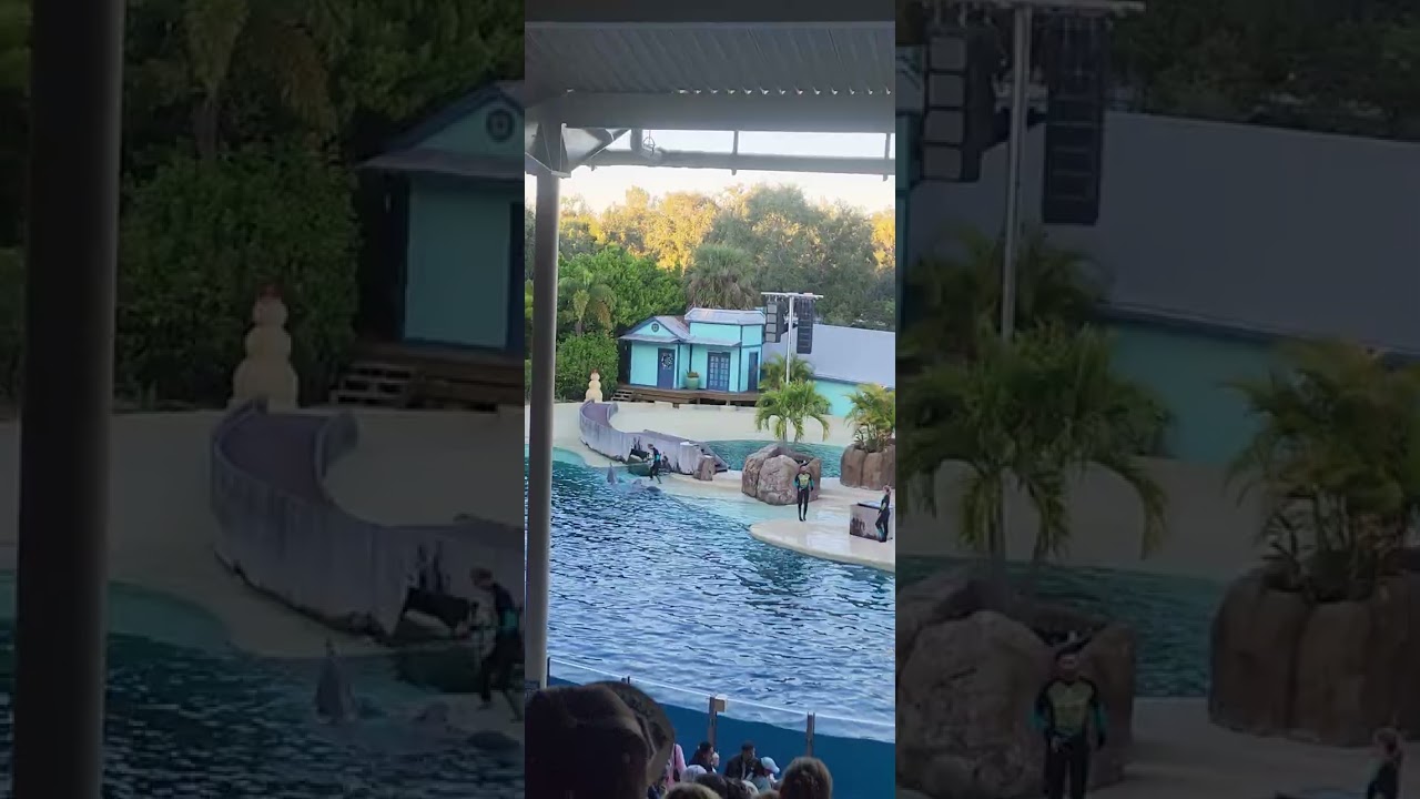 #seaworld 