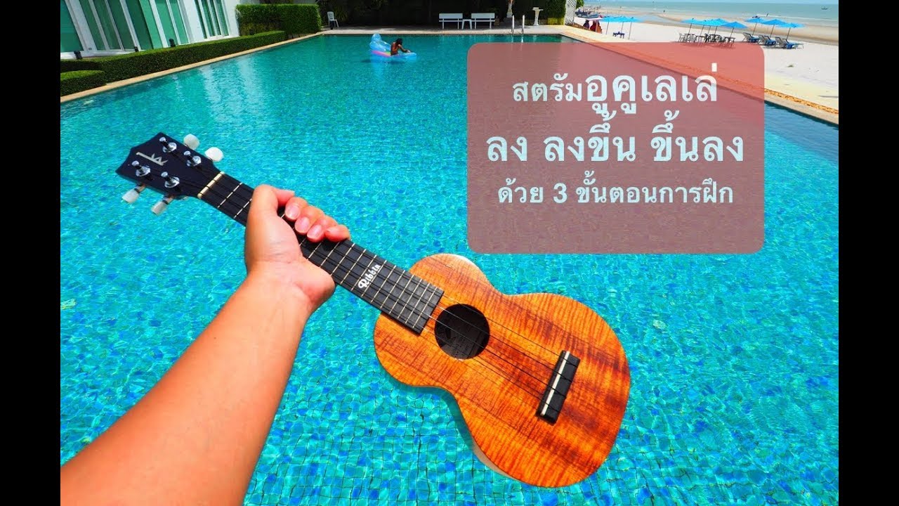 แนะนำการสตรัมอูคูเลเล่เบสิค ลง ลง ขึ้น ขึ้น ลง
