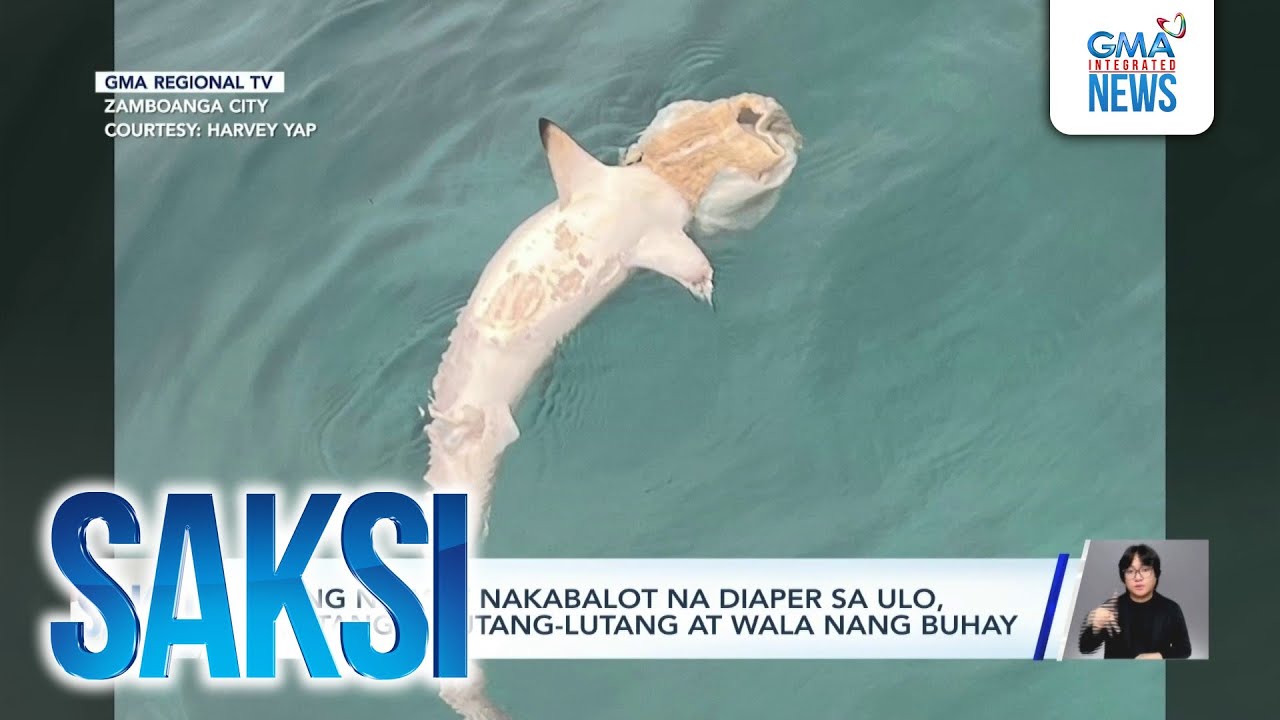 Pating na may nakabalot na diaper sa ulo, nakitang palutang-lutang at wala nang buhay | Saksi