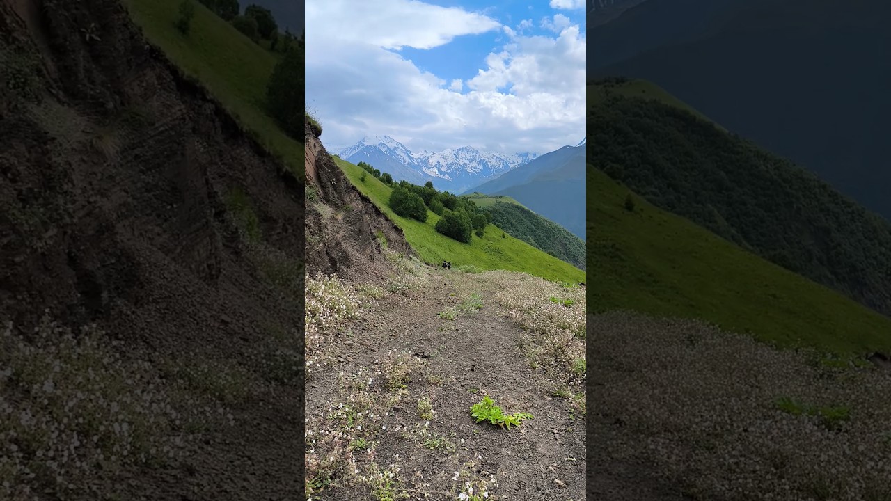 из пешего похода в 