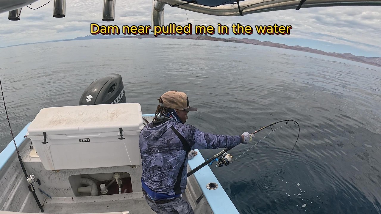 Daiwa Saltiga VS Monster Yellow tail
