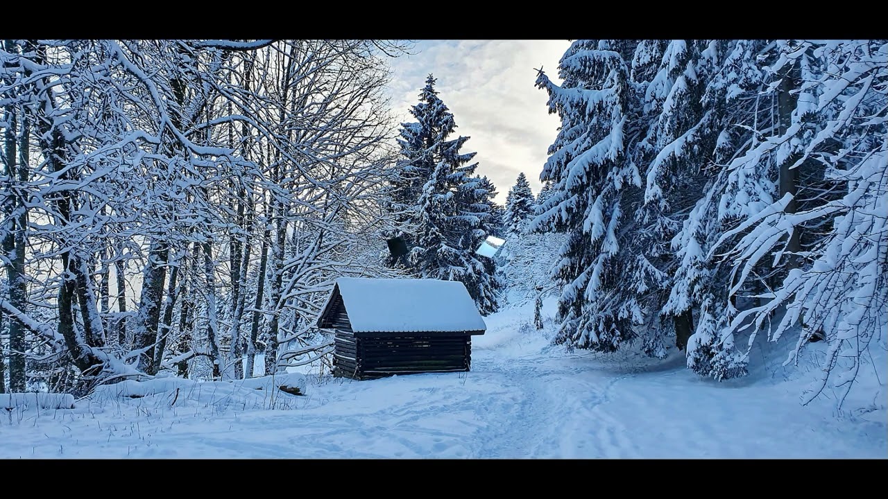 Rando vosgienne Charles raquettes du 26 12 24 au départ du Hohwald.