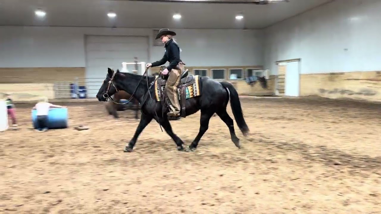 FQHR Blue Fire Lynx