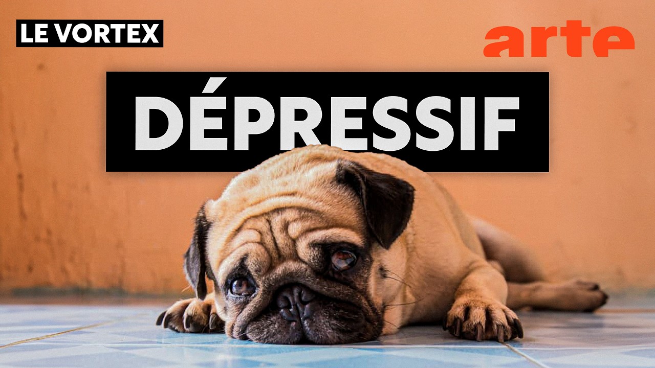 Nos animaux ont-ils besoin d’un psy ? 