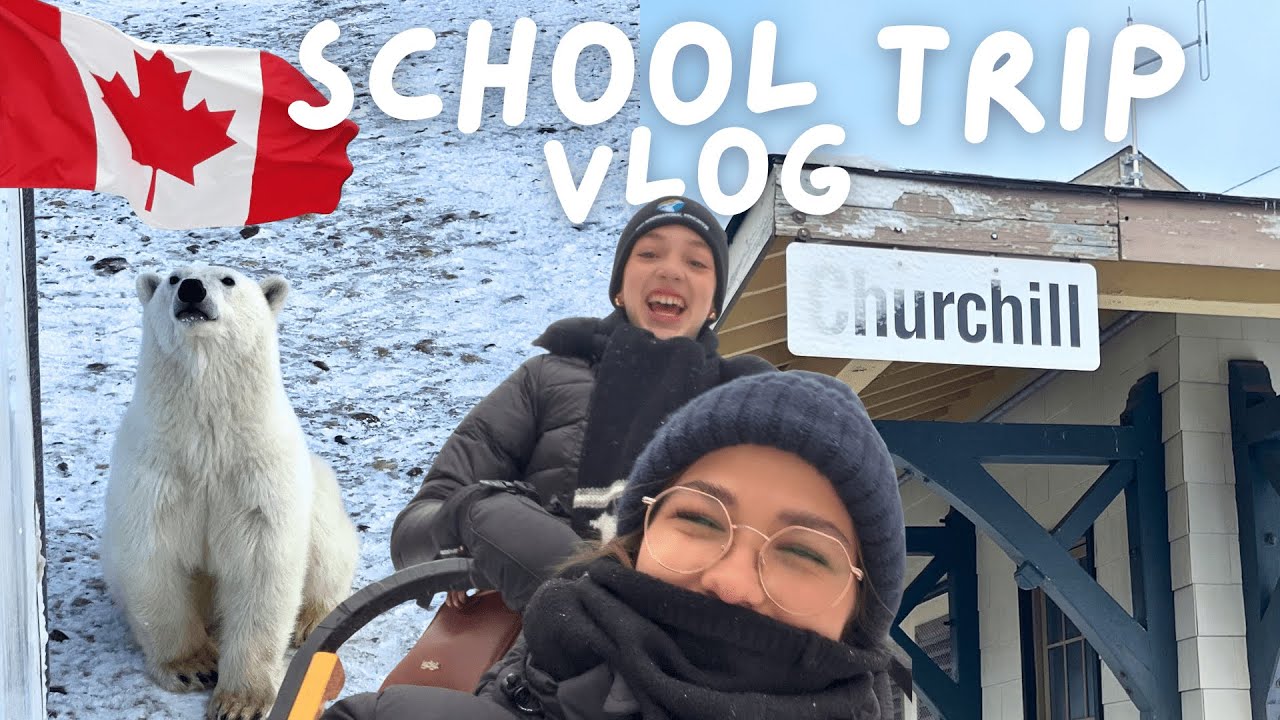 5 Tage in CHURCHILL: Schlittenhunde, Eisbären & Polarlichter 🇨🇦 Auslandsjahr Kanada