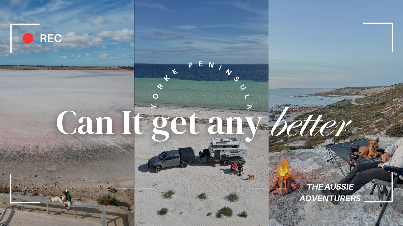 Is this the BEST dog friendly beach camping in AUSTRALIA!!