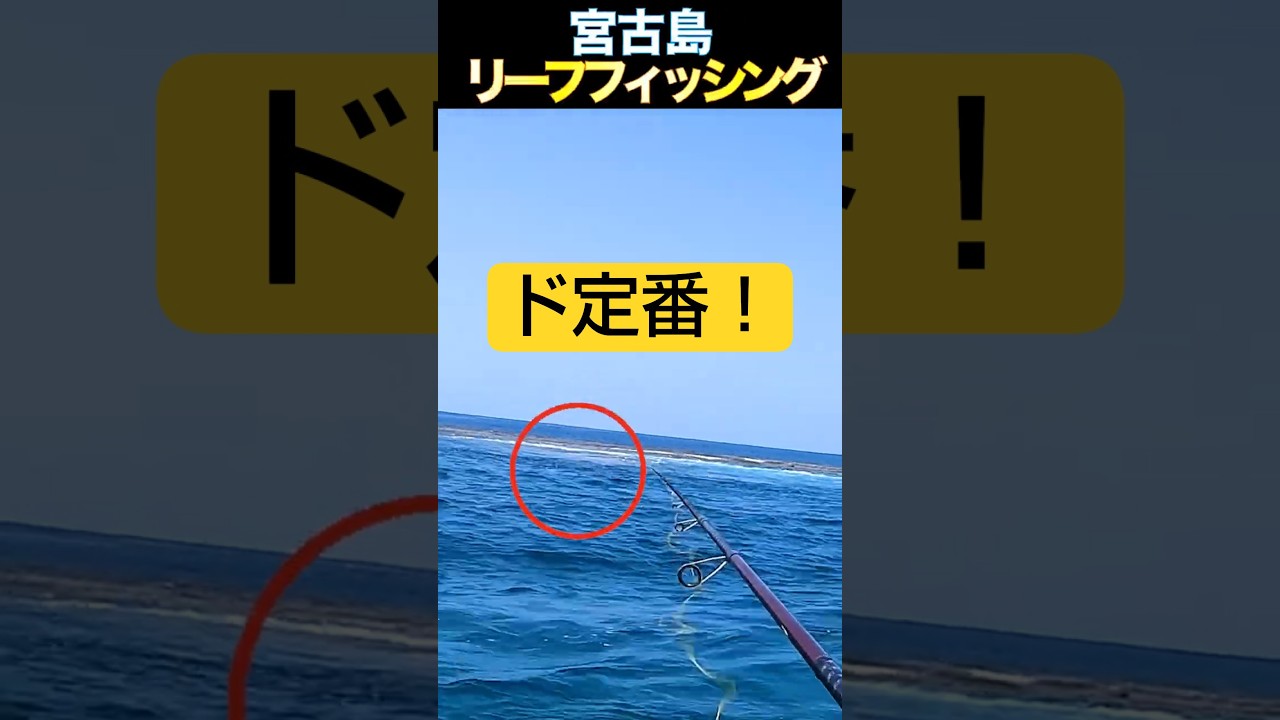 沖縄、ド定番！#釣り #fishing #リーフフィッシング #イシミーバイ