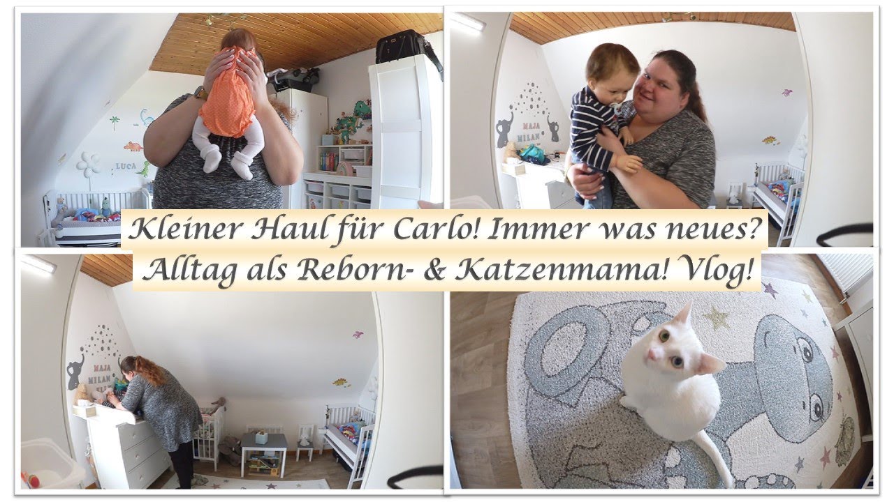 Und es ist wieder kalt! || Kleiner Haul! || Vlog! || Reborn Baby Deutsch || Little Reborn Nursery