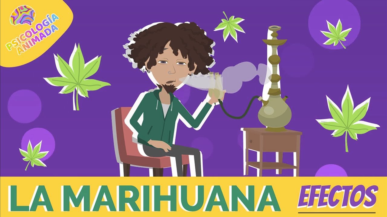 Efectos Psicol&oacute;gicos de la Marihuana: &iquest;C&oacute;mo afecta tu cerebro?