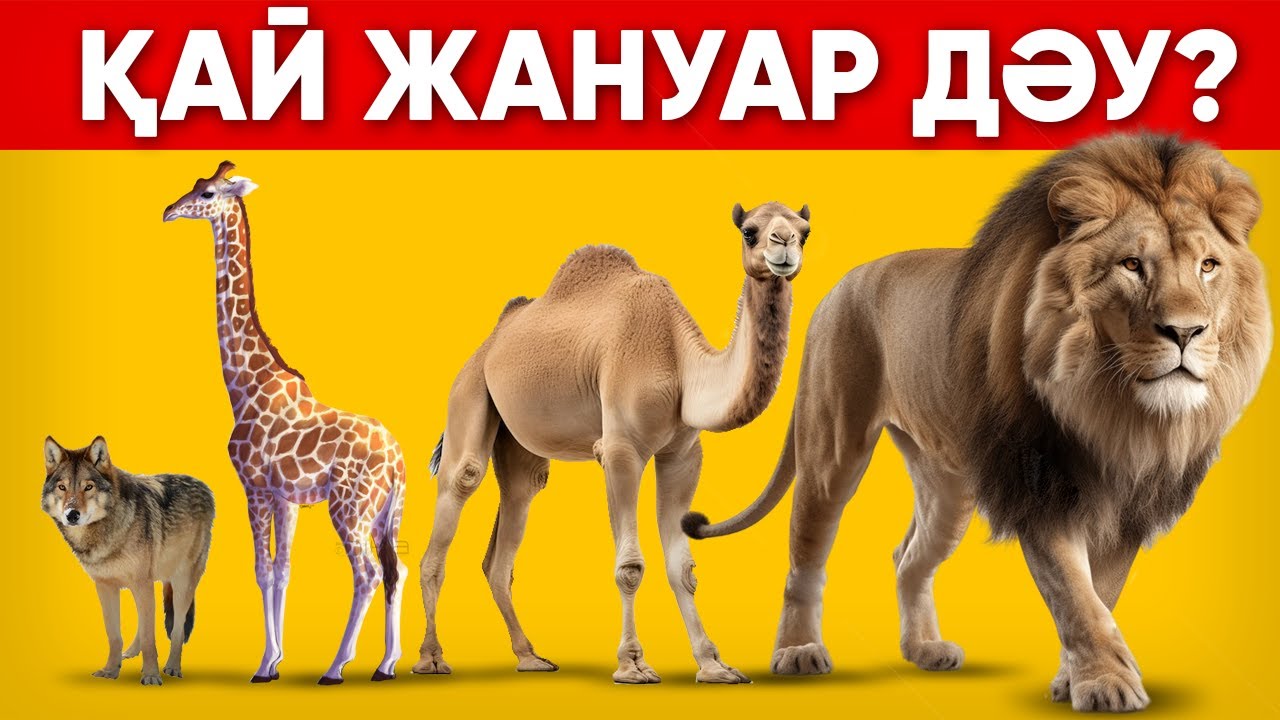 ҚАЙ ЖАНУАР ҮЛКЕН? | ҚАЗАҚША ЛОГИКАЛЫҚ СҰРАҚТАР\10 СЕКУНДТТА ЖАУАП БЕР/КАЗАКША QUIZ🧠