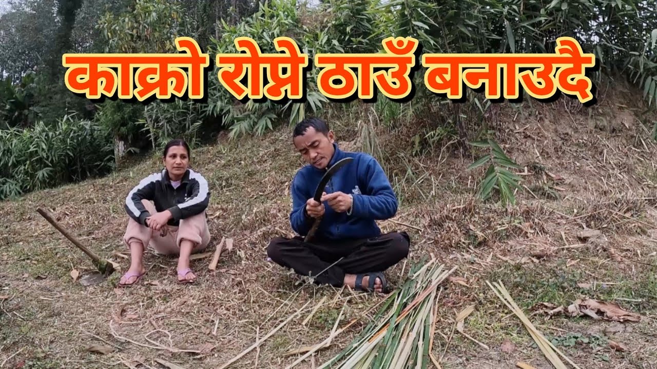 काक्रो रोप्न ठाउँ बनाउदैछौ/जङ्गलबाट निबा ल्याएर चोया काढ्नु पर्ने/गाह्रो छ हौ गाउँको जिन्दगी पनि❤️🙏🙏
