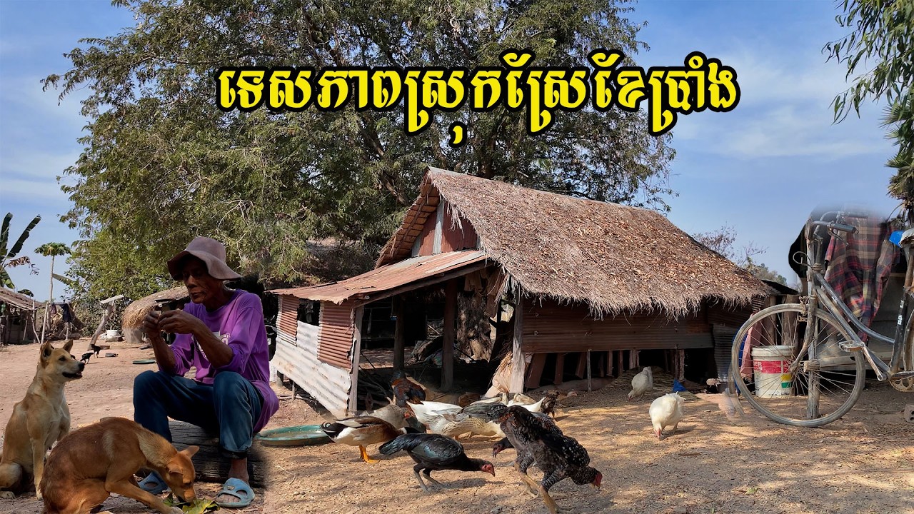 ទិដ្ឋភាពស្រុកស្រែខែប្រាំង​ ខ្យល់បរិយាកាសបរិសុទ្ធ​ ដាំដំណាំជាច្រេីននៅផ្ទះអ៊ុំផាន់
