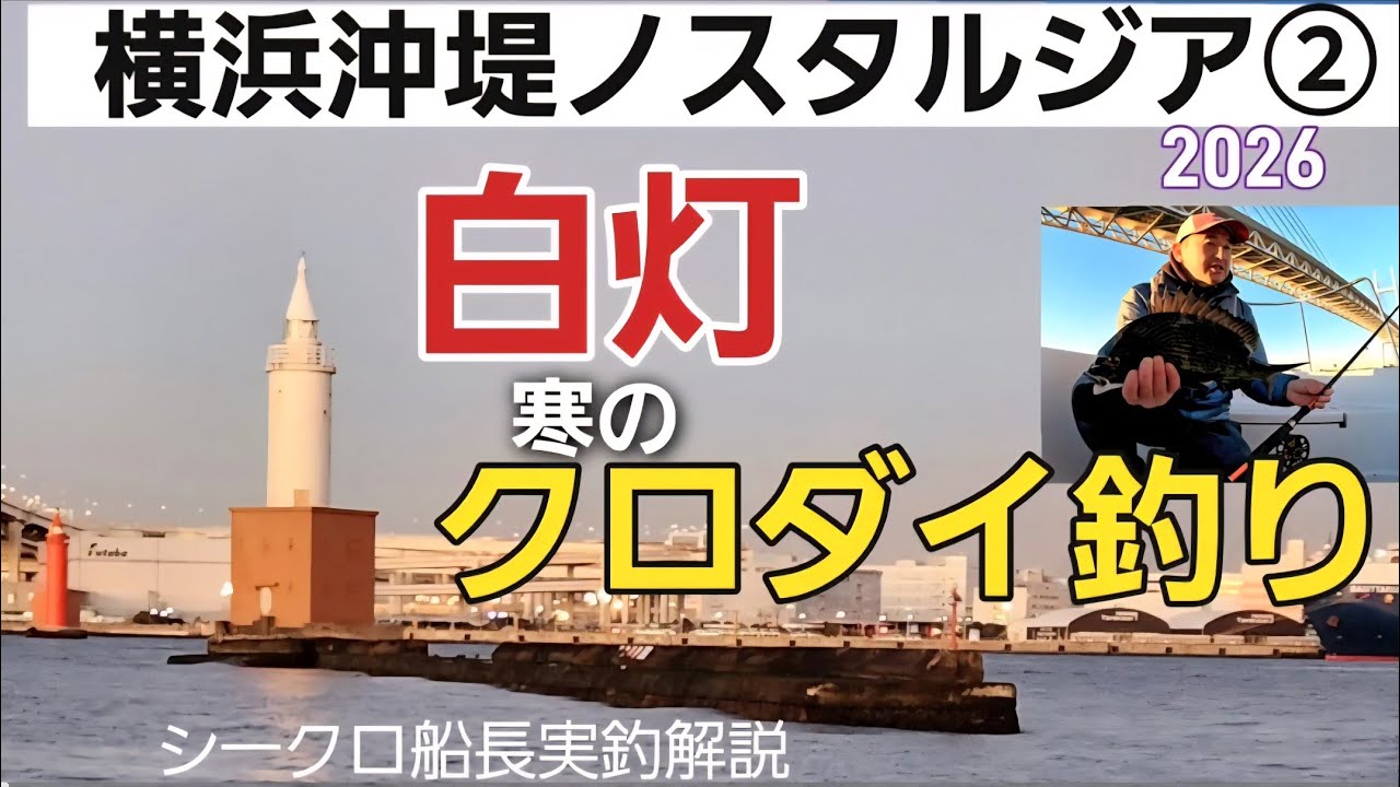 [ヘチ釣り]横浜沖堤-白灯クロダイ釣りノスタルジ一#黒鯛釣り#ヘチ釣り#横浜沖堤防