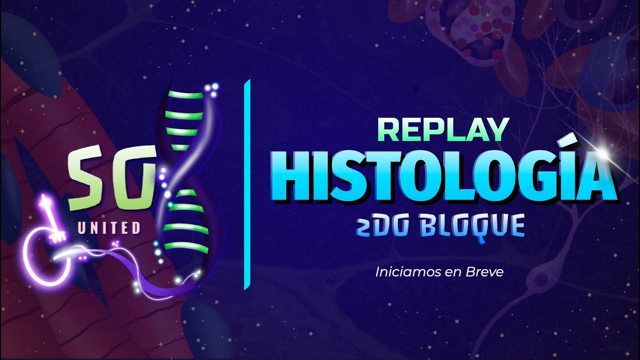 REPLAY HISTOSOX B2 | Sistema Nervioso, Cardiovascular y Ojo