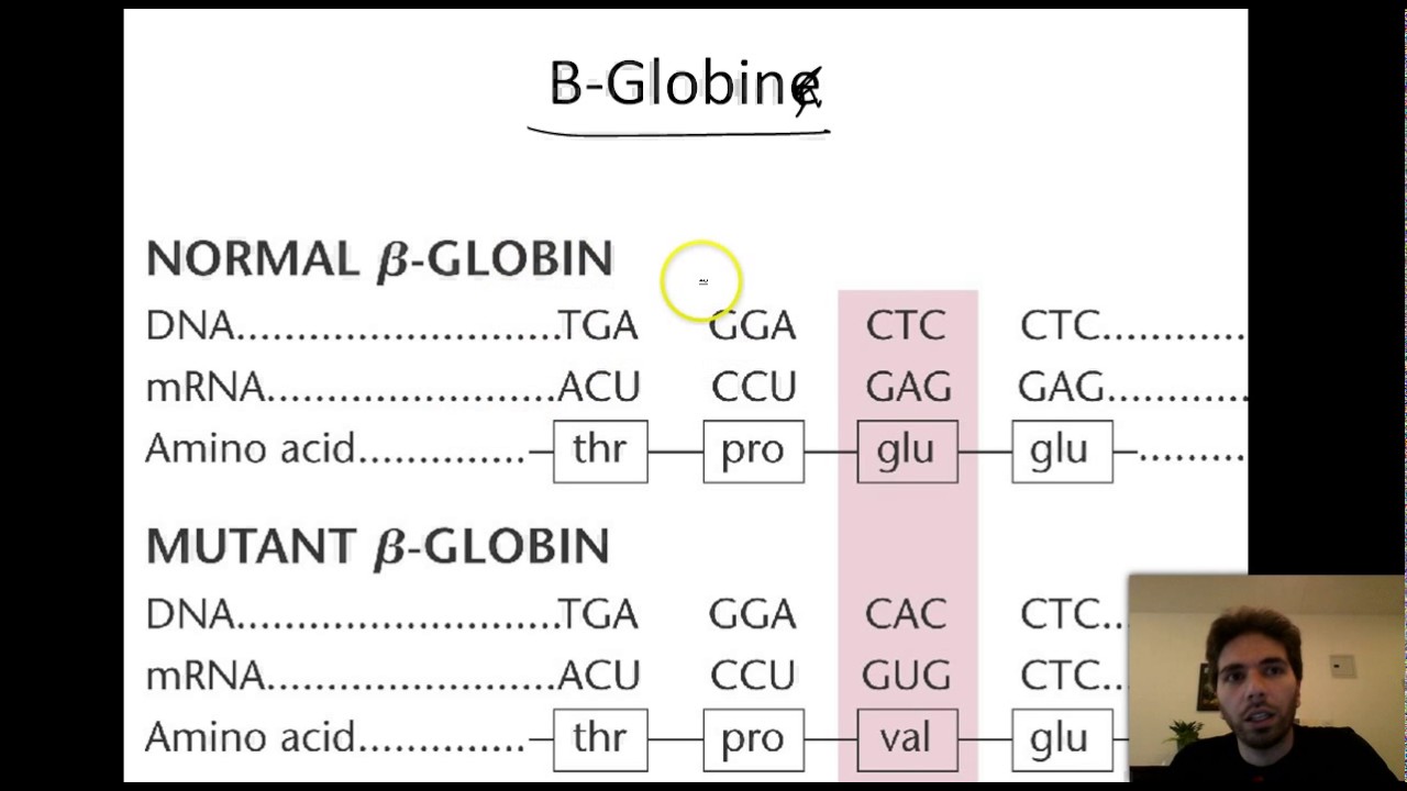 16 - Chapter 3 Doc 3 & 4 - Lebanese Bac - L.S.