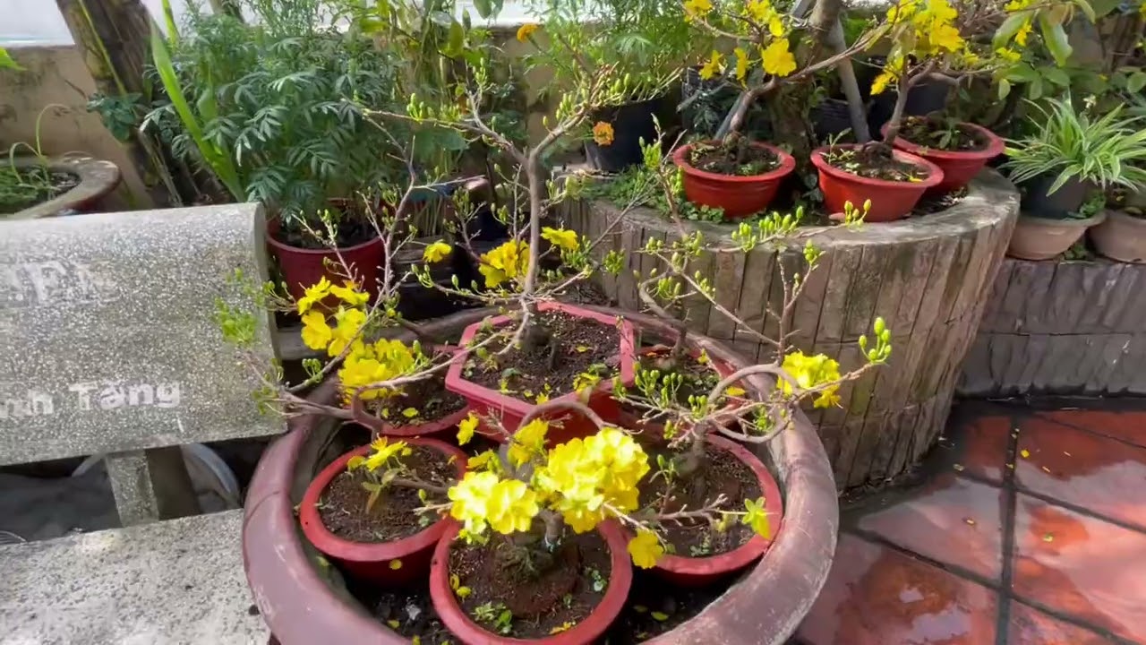 ngày 20 tháng 2, 2026