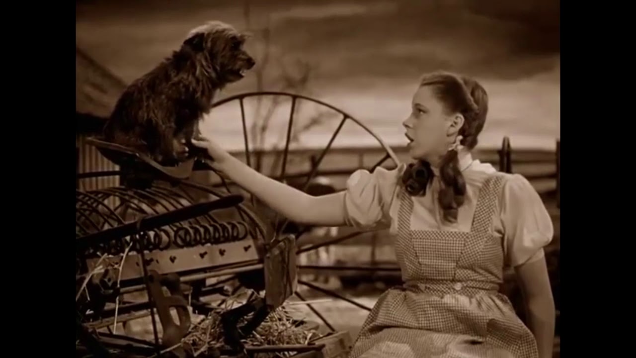 Wizard of Oz Tribute